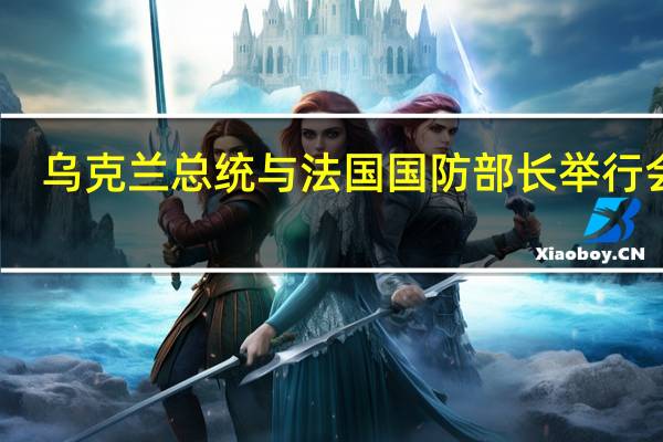 乌克兰总统与法国国防部长举行会谈