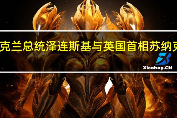 乌克兰总统泽连斯基与英国首相苏纳克通电话