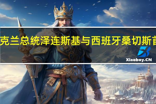 乌克兰总统泽连斯基与西班牙桑切斯首相通话