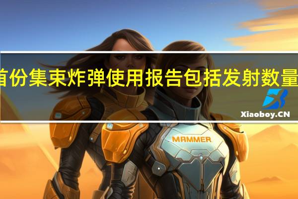 乌向美提交首份集束炸弹使用报告包括发射数量和摧毁俄目标数量