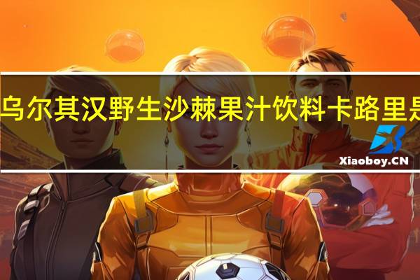 乌尔其汉 野生沙棘果汁饮料卡路里是多少