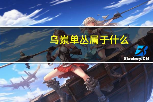 乌岽单丛属于什么（乌岽单丛属于什么茶）