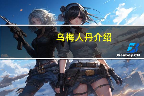 乌梅人丹介绍