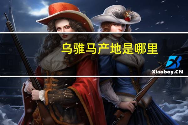 乌骓马产地是哪里（乌骓马）