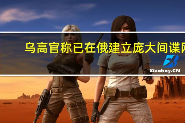 乌高官称已在俄建立庞大间谍网