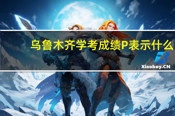 乌鲁木齐学考成绩P表示什么