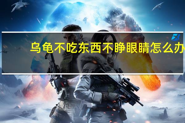乌龟不吃东西不睁眼睛怎么办（乌龟不吃东西）