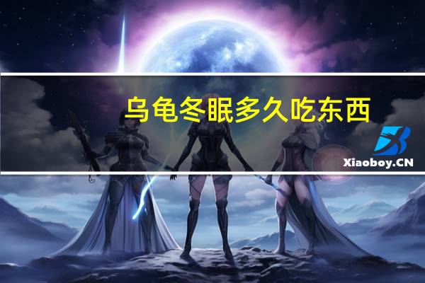 乌龟冬眠多久吃东西（乌龟要冬眠多久 要喂它吃东西吗）