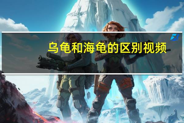 乌龟和海龟的区别视频（乌龟和海龟的区别）