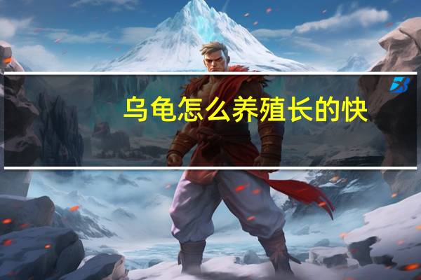 乌龟怎么养殖长的快(乌龟怎么养长得快)
