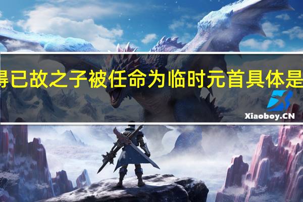 乍得已故之子被任命为临时元首 具体是什么情况？？