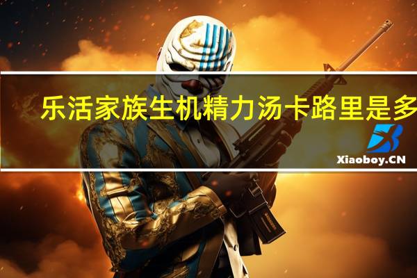 乐活家族 生机精力汤卡路里是多少