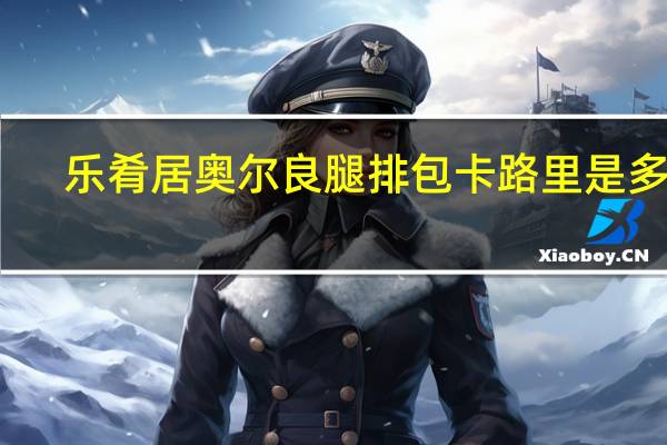 乐肴居奥尔良腿排包卡路里是多少