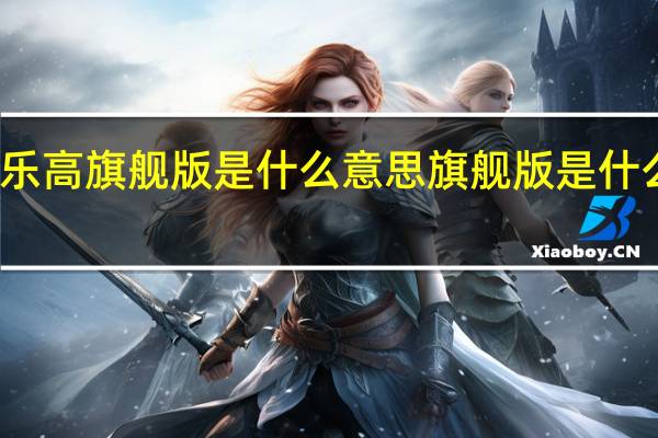 乐高旗舰版是什么意思 旗舰版是什么意思