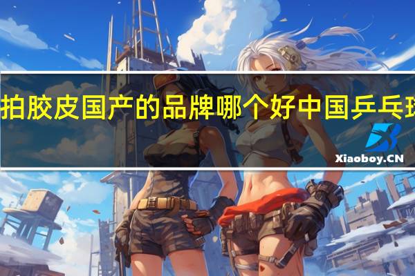 乒乓球拍胶皮国产的品牌哪个好 中国乒乓球拍十大名牌
