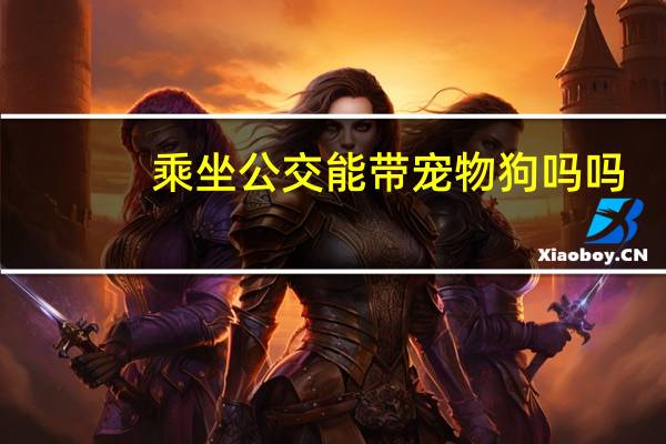 乘坐公交能带宠物狗吗吗