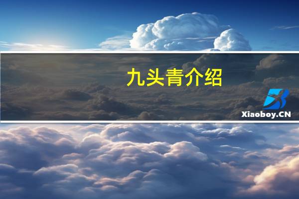 九头青介绍
