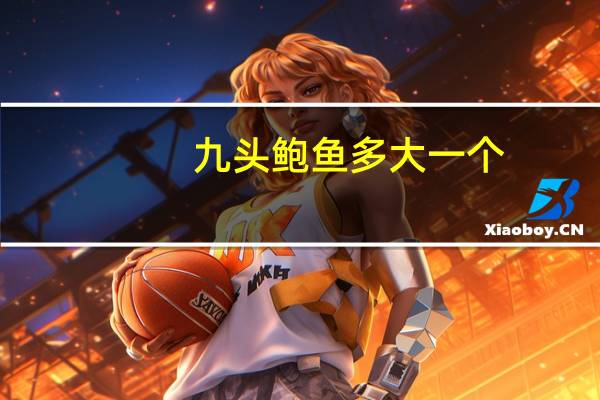 九头鲍鱼多大一个