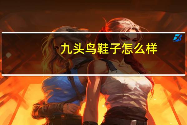 九头鸟鞋子怎么样