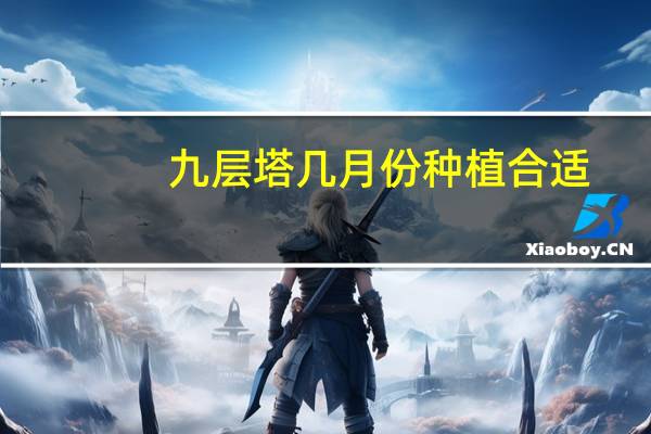 九层塔几月份种植合适