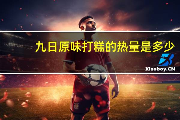 九日 原味打糕的热量是多少