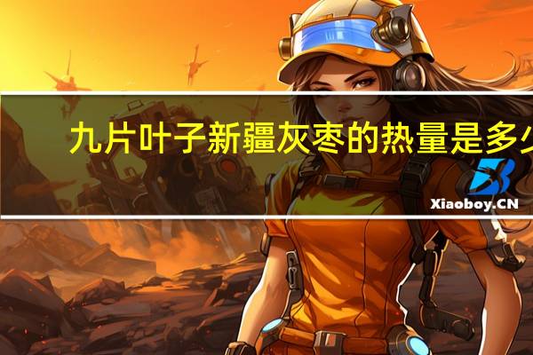 九片叶子 新疆灰枣的热量是多少