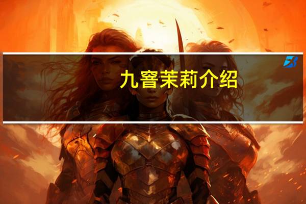 九窨茉莉介绍