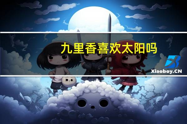 九里香喜欢太阳吗