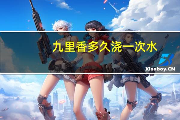 九里香多久浇一次水
