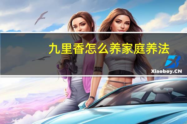 九里香怎么养家庭养法