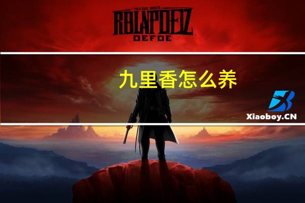 九里香怎么养