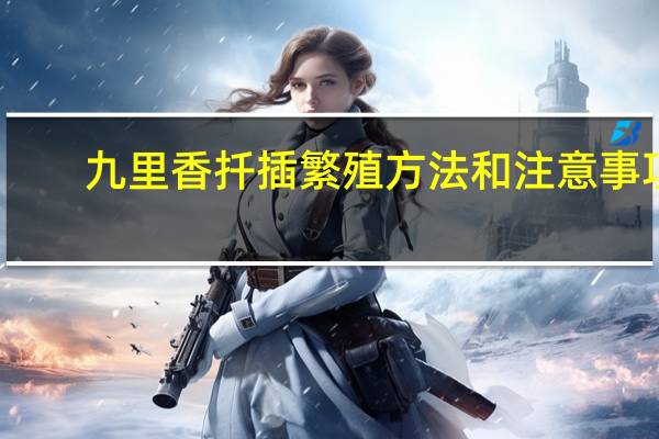 九里香扦插繁殖方法和注意事项