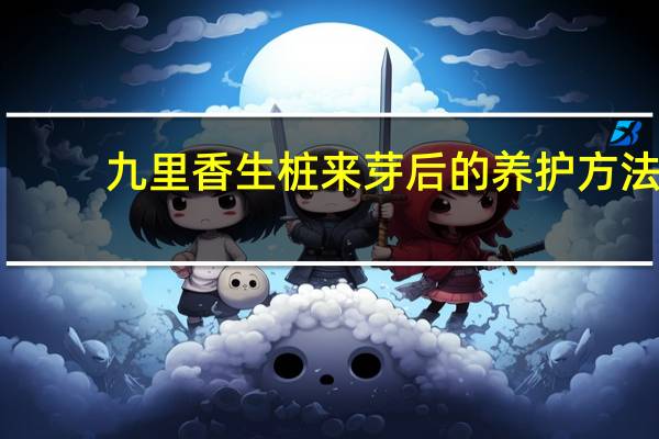 九里香生桩来芽后的养护方法