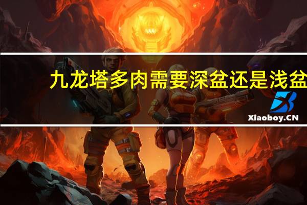 九龙塔多肉需要深盆还是浅盆