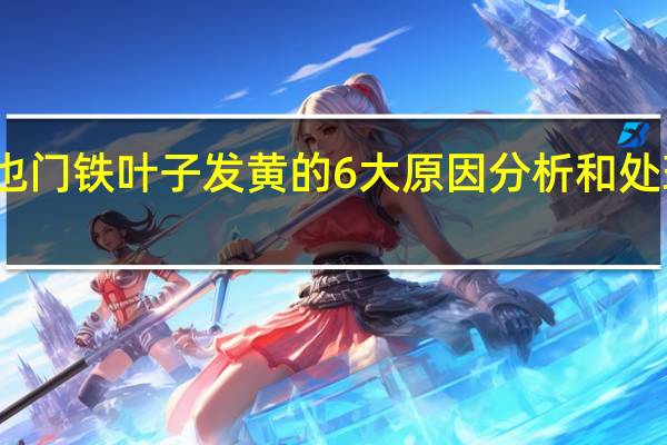 也门铁叶子发黄的6大原因分析和处理方法