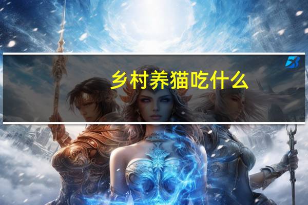乡村养猫吃什么