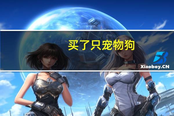 买了只宠物狗