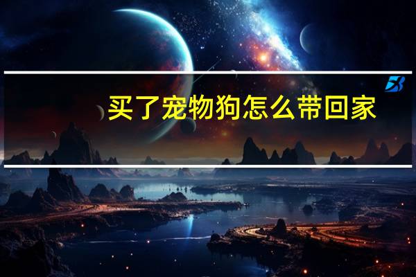 买了宠物狗怎么带回家