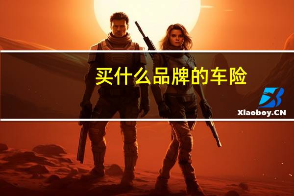 买什么品牌的车险