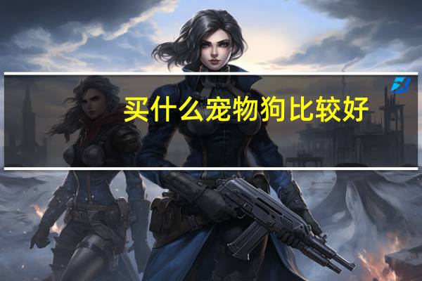 买什么宠物狗比较好