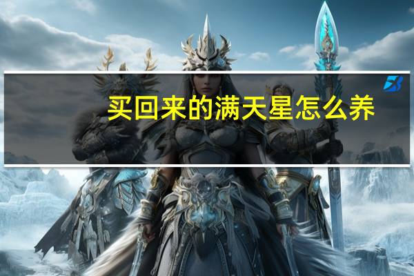 买回来的满天星怎么养