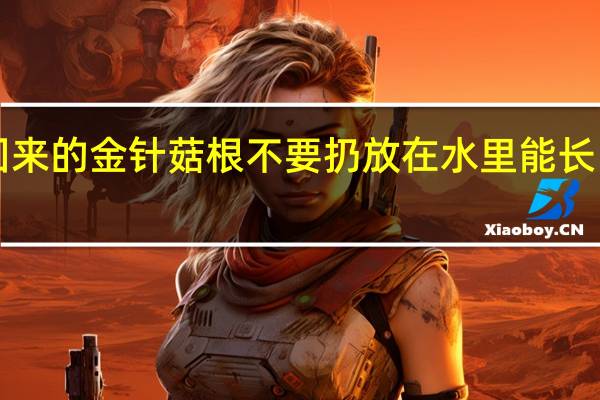 买回来的金针菇根不要扔放在水里能长出好几捆！