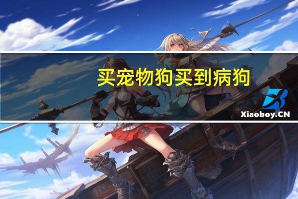 买宠物狗买到病狗