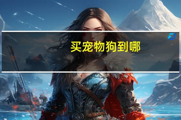 买宠物狗到哪