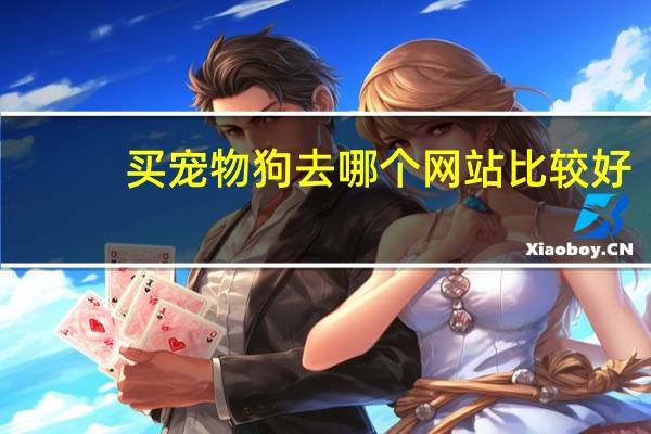 买宠物狗去哪个网站比较好