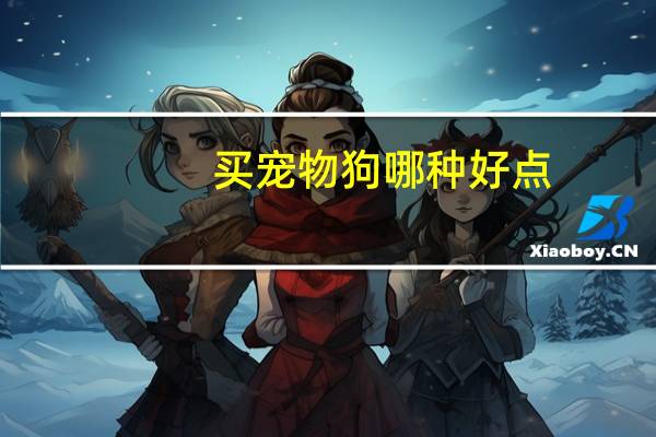 买宠物狗哪种好点