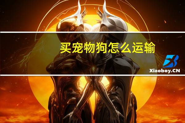 买宠物狗怎么运输
