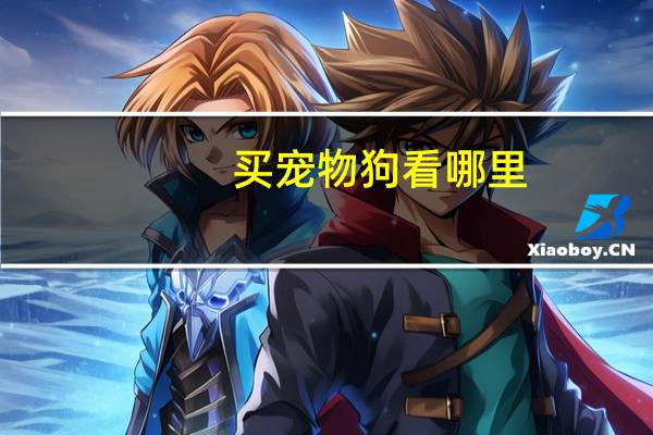 买宠物狗看哪里