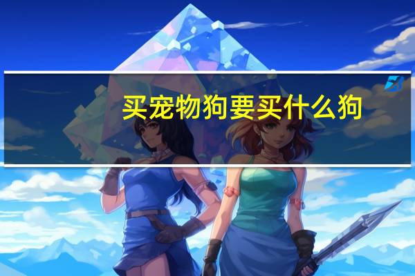 买宠物狗要买什么狗