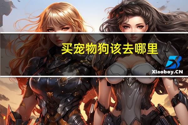 买宠物狗该去哪里